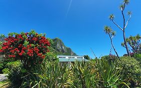 Punakaiki Beach Camp