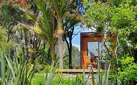 Punakaiki Beach Camp